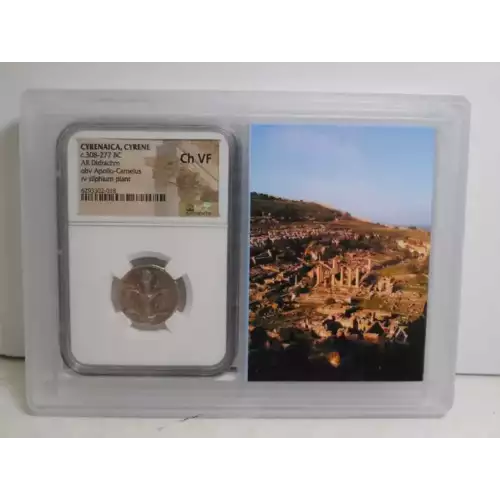 Silphium, 308-277 BC, Cyrenaica, Cyrene, NGC Ch VF (3)